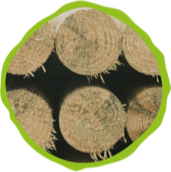 Bois - Agence Rurale