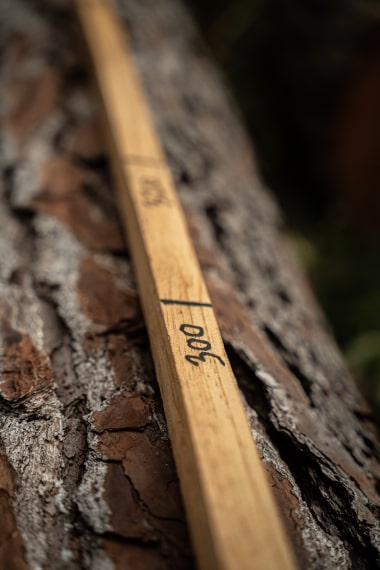 Mètre bois - Agence Rurale