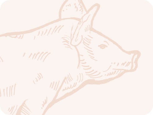 Cochon