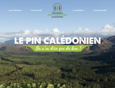 ctb site